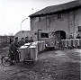 La squadra della nettezza urbana di Este,1957.( di M.Lasalandra)-(Adriano Danieli)